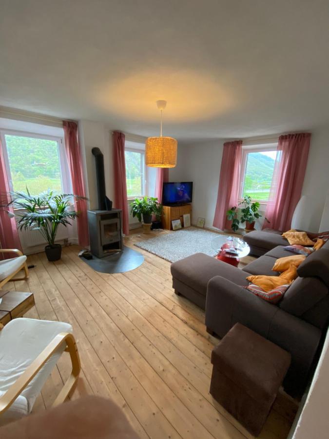 Villa Helles, Gemuetliches Haus Mit Moselblick Müden Exterior foto